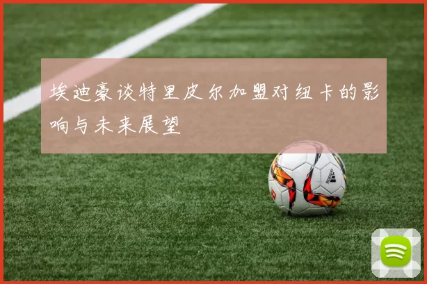埃迪豪谈特里皮尔加盟对纽卡的影响与未来展望